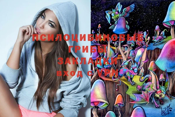МДПВ Богданович