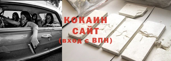 шишки Богородицк