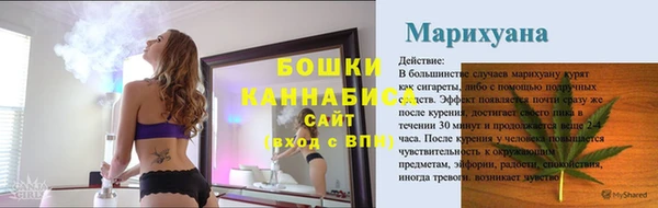 шишки Богородицк