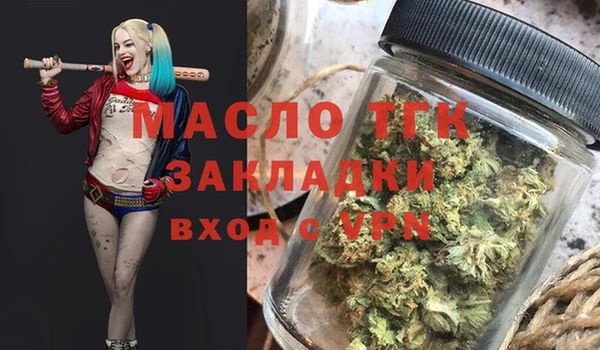 шишки Богородицк