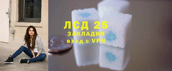 шишки Богородицк