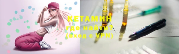 шишки Богородицк