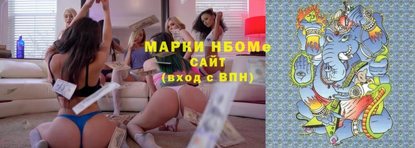 шишки Богородицк