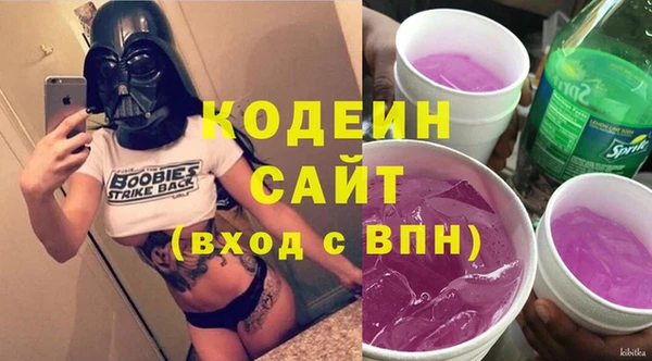 шишки Богородицк