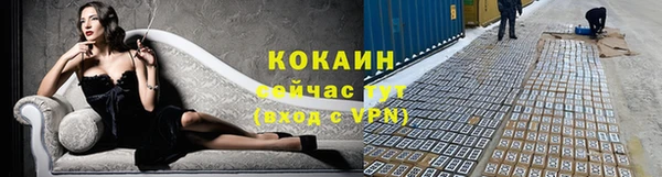 шишки Богородицк